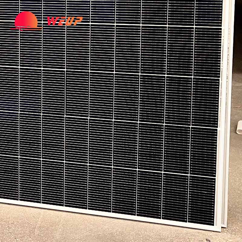China best N type solar panel