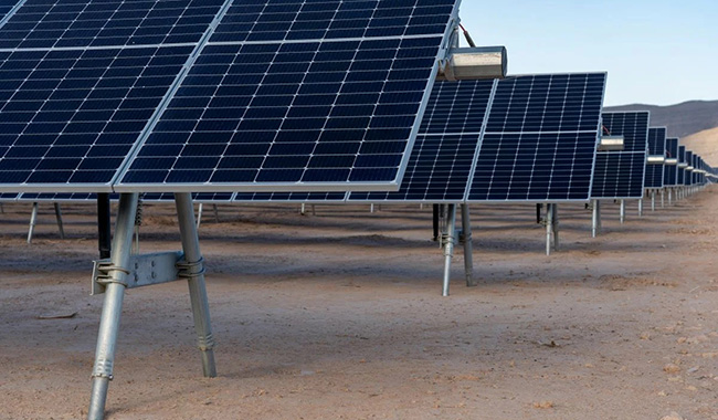 ألمانيا وبولندا ومشاريع الطاقة الشمسية والتخزين المشتركة آخذة في الارتفاع!